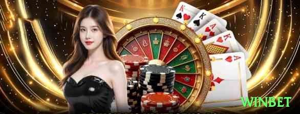 winbet Premium New Screenshot 1